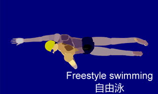 Freestyle swimming - 1