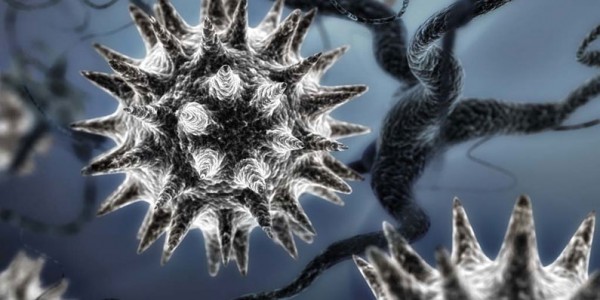 вирус гепатита ц атакует клетку