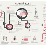 Как мозг усваивает, запоминает и хранит информацию