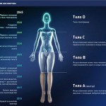 План работ корпорации Бессмертие